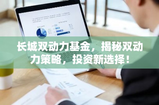 长城双动力基金，揭秘双动力策略，投资新选择！