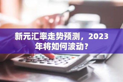 新元汇率走势预测，2023年将如何波动？