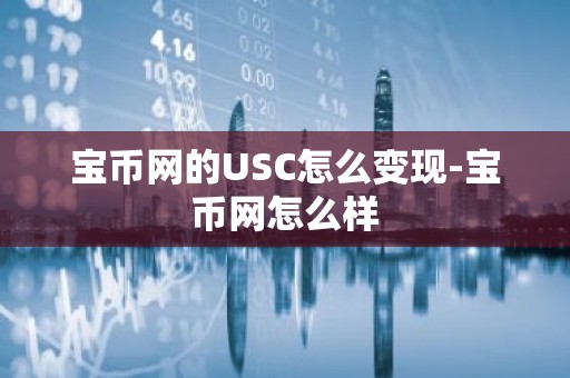 宝币网的USC怎么变现-宝币网怎么样