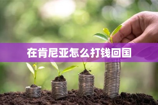 在肯尼亚怎么打钱回国