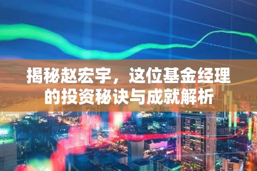 揭秘赵宏宇，这位基金经理的投资秘诀与成就解析