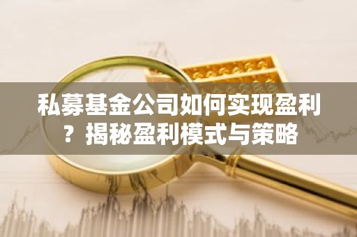 私募基金公司如何实现盈利？揭秘盈利模式与策略