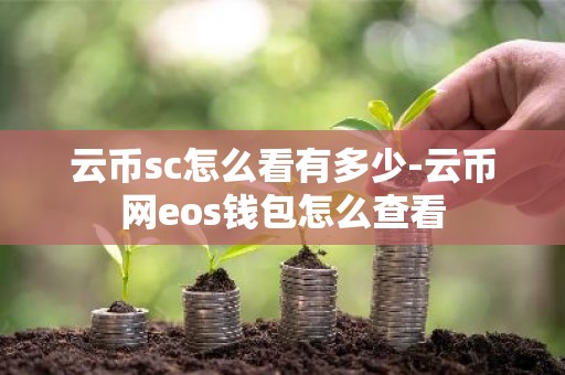 云币sc怎么看有多少-云币网eos钱包怎么查看