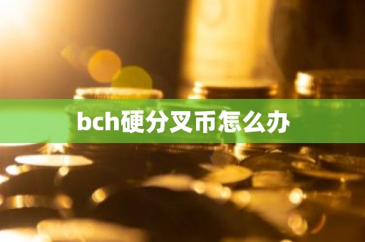 bch硬分叉币怎么办