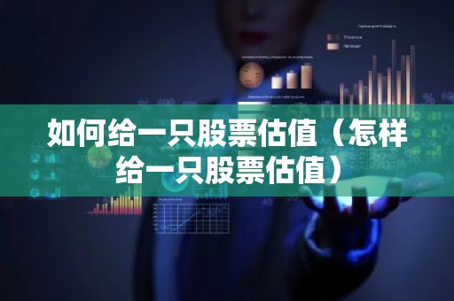 如何给一只股票估值（怎样给一只股票估值）