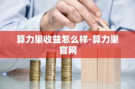 算力巢收益怎么样-算力巢官网