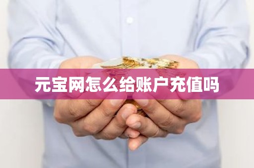 元宝网怎么给账户充值吗