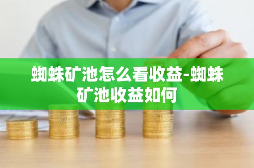 蜘蛛矿池怎么看收益-蜘蛛矿池收益如何
