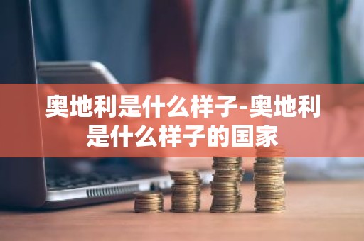 奥地利是什么样子-奥地利是什么样子的国家