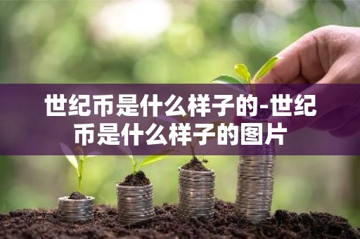 世纪币是什么样子的-世纪币是什么样子的图片