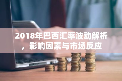 2018年巴西汇率波动解析，影响因素与市场反应