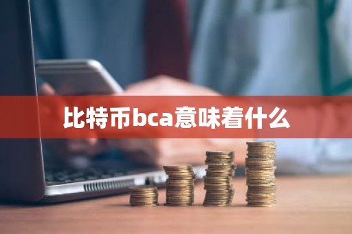 比特币bca意味着什么