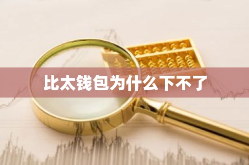 比太钱包为什么下不了