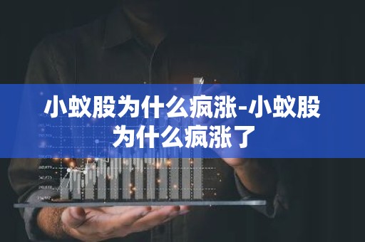 小蚁股为什么疯涨-小蚁股为什么疯涨了