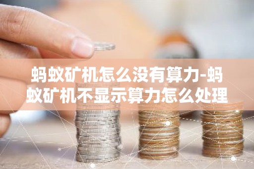蚂蚁矿机怎么没有算力-蚂蚁矿机不显示算力怎么处理?