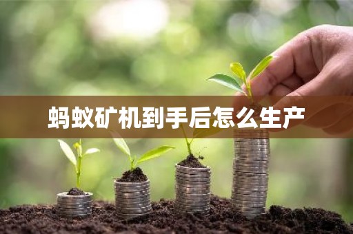 蚂蚁矿机到手后怎么生产