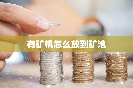 有矿机怎么放到矿池