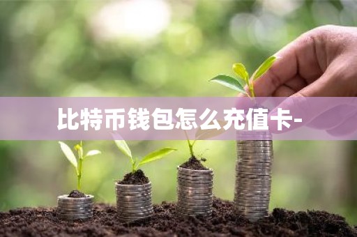 比特币钱包怎么充值卡-