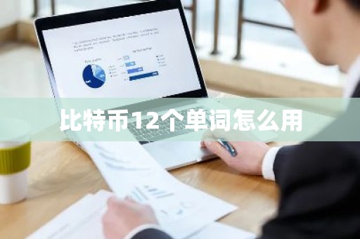 比特币12个单词怎么用