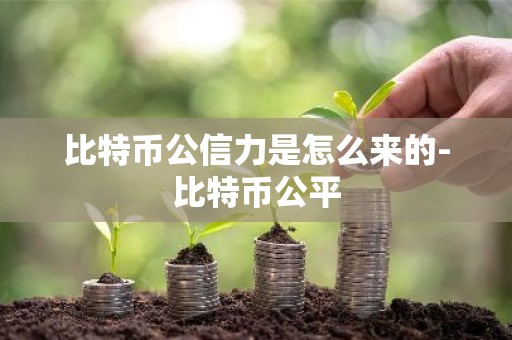 比特币公信力是怎么来的-比特币公平