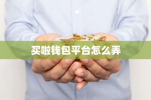 买啦钱包平台怎么弄
