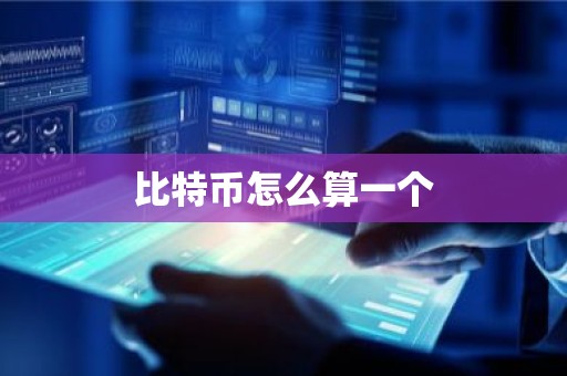 比特币怎么算一个