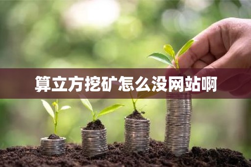 算立方挖矿怎么没网站啊