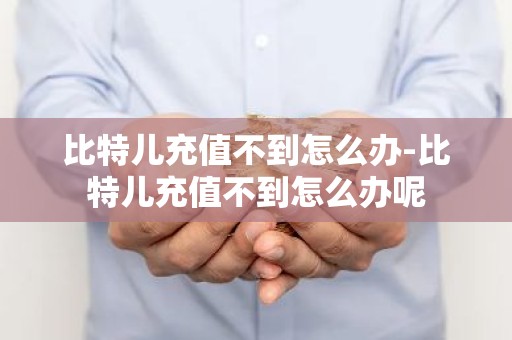 比特儿充值不到怎么办-比特儿充值不到怎么办呢