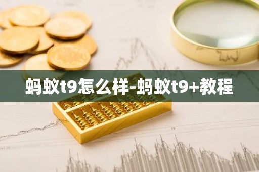 蚂蚁t9怎么样-蚂蚁t9+教程