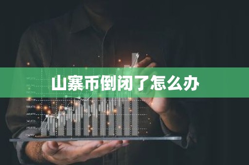 山寨币倒闭了怎么办