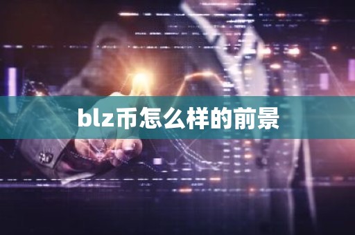 blz币怎么样的前景
