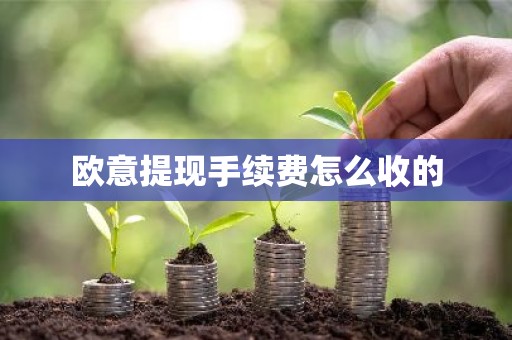 欧意提现手续费怎么收的
