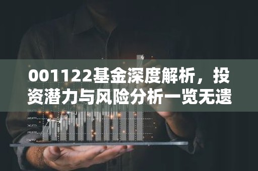 001122基金深度解析，投资潜力与风险分析一览无遗