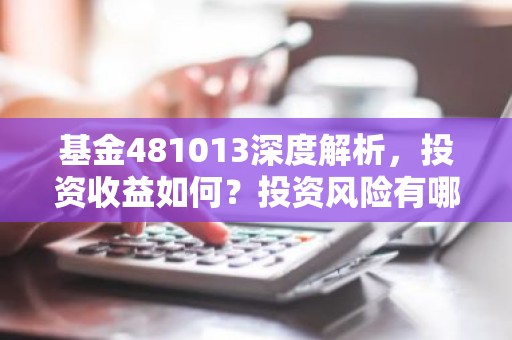 基金481013深度解析，投资收益如何？投资风险有哪些？