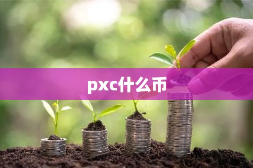 pxc什么币