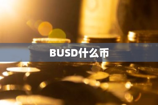 BUSD什么币