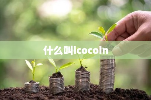 什么叫icocoin