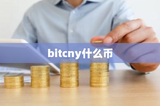 bitcny什么币