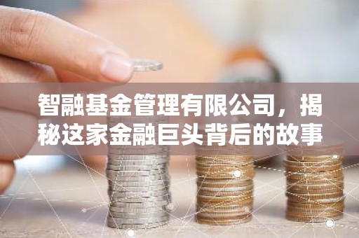 智融基金管理有限公司，揭秘这家金融巨头背后的故事