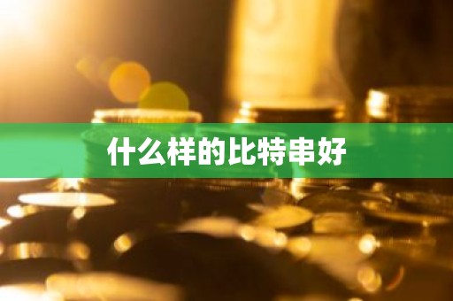 什么样的比特串好