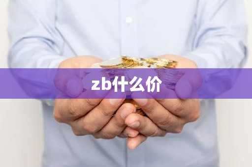 zb什么价