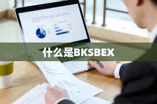 什么是BKSBEX