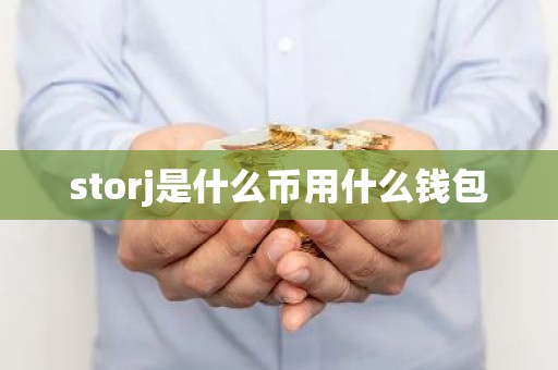 storj是什么币用什么钱包