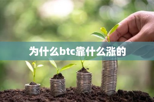 为什么btc靠什么涨的