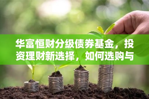 华富恒财分级债券基金，投资理财新选择，如何选购与操作指南