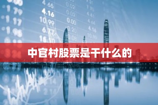 中官村股票是干什么的