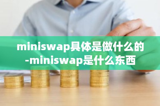 miniswap具体是做什么的-miniswap是什么东西