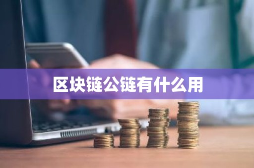 区块链公链有什么用