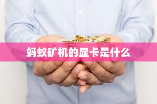 蚂蚁矿机的显卡是什么