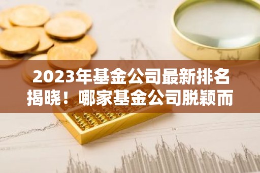 2023年基金公司最新排名揭晓！哪家基金公司脱颖而出？